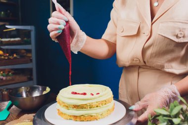 kadın elleri bir pişirme spatula kullanarak beyaz krema ile bisküvi kek yapma.