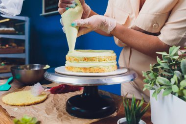 kadın elleri bir pişirme spatula kullanarak beyaz krema ile bisküvi kek yapma.