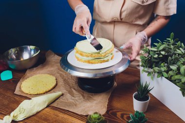 kadın elleri bir pişirme spatula kullanarak beyaz krema ile bisküvi kek yapma.