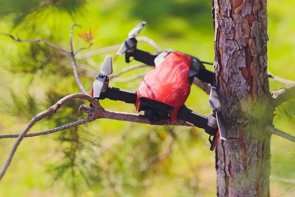Sikertelen drone lezuhan a fán, és leesett törött lábát, és karcos rajta terjed. — Stock Fotó