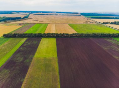 Çimenli ve ağaçlı yeşil arazinin üst görüntüsü.