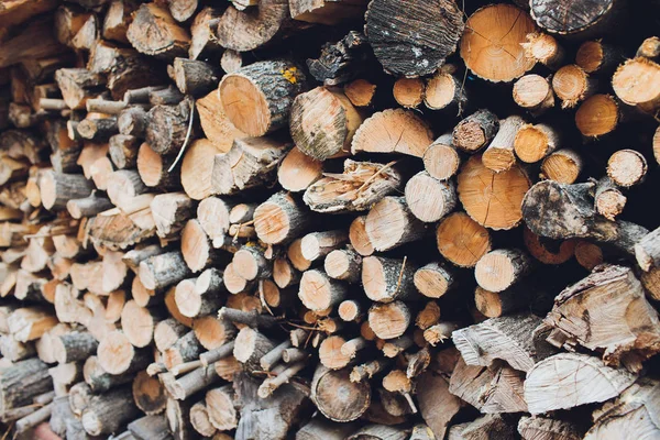 Yakacak odun yığını. Yakacak odun hazırlanması için kış ve yemek, yakacak odun arka plan, ormanda odun yığınları için kullanın.