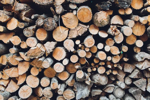 Yakacak odun yığını. Yakacak odun hazırlanması için kış ve yemek, yakacak odun arka plan, ormanda odun yığınları için kullanın.
