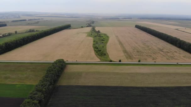 Czarne i złote pola zbóż z belkami ze słomy po zbiorze widzianych z dronów. — Wideo stockowe