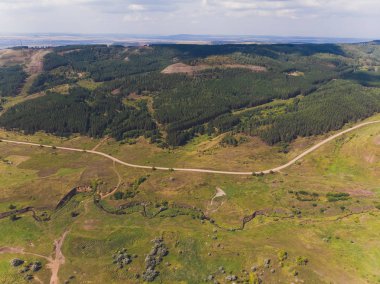 İnsansız hava aracından yeşil ormana kadar olan en iyi manzara..