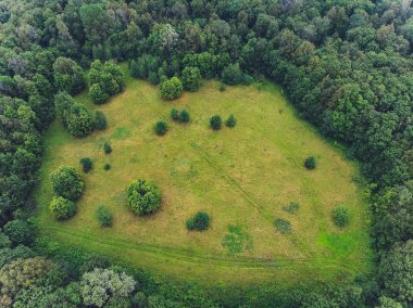 İnsansız hava aracından yeşil ormana kadar olan en iyi manzara..
