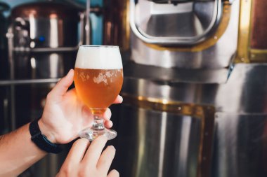 Oktoberfest festivali. Taze demlenmiş biranın tadına bakıyorum. Brewer zanaat bira ile cam tutar. Bira fabrikası konsepti. Biralı biralı adam. Alkol. Erkek bira bira ile cam tutar. Oktober festivali. Bilgin. Brewer.