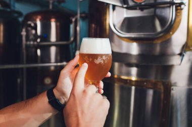 Oktoberfest festivali. Taze demlenmiş biranın tadına bakıyorum. Brewer zanaat bira ile cam tutar. Bira fabrikası konsepti. Biralı biralı adam. Alkol. Erkek bira bira ile cam tutar. Oktober festivali. Bilgin. Brewer.