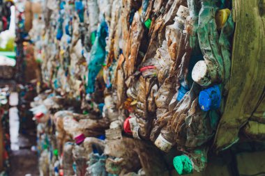 Modern, plastik preslenmiş balya tehlikeli işleme tesisi atık. Ayrı çöp toplama. Geri dönüşüm ve atık daha fazla bertarafı için depolama. Sıralama ve atık işleme için iş