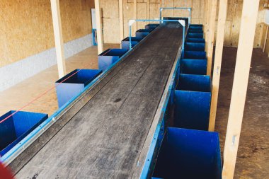 Çöp konveyör bant üzerinde sıralanmış olan, yeni temiz kırpılmış.