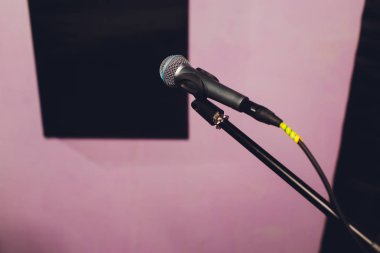 Profesyonel kondansatör stüdyo mikrofonu, Musical Concept. Kayıt