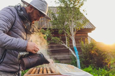 Arı kovanının çerçeveleri. Arı yetiştiricisi bal topluyor. Arı içici, arıları sakinleştirmek için kullanılır. Çerçeve çıkarmadan önce. Arıcı Arı Kovanını Denetliyor.