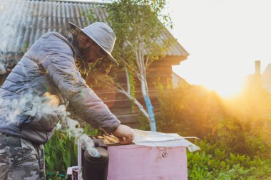 Tecrübeli arı yetiştiricisi büyükbaba torununa arılarla ilgilenmeyi öğretiyor. Apiculture. Tecrübe aktarımı kavramı.