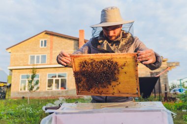 Tecrübeli arı yetiştiricisi büyükbaba torununa arılarla ilgilenmeyi öğretiyor. Apiculture. Tecrübe aktarımı kavramı.