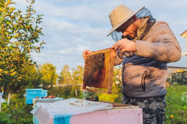 Tecrübeli arı yetiştiricisi büyükbaba torununa arılarla ilgilenmeyi öğretiyor. Apiculture. Tecrübe aktarımı kavramı.