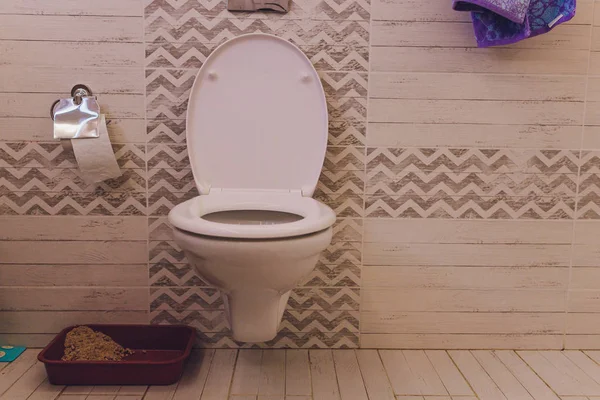 Cuarto de baño moderno blanco llano y limpio con azulejos de la ducha y pisos de madera dura desde el nivel del suelo . — Foto de Stock