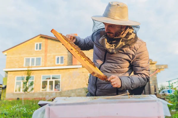 El abuelo apicultor experimentado enseña a su nieto a cuidar de las abejas. Apicultura. Concepto de transferencia de experiencia. —  Fotos de Stock