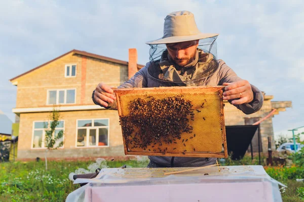 Der erfahrene Imker-Opa bringt seinem Enkel bei, sich um die Bienen zu kümmern. Imkerei. Das Konzept des Erfahrungstransfers. — Stockfoto