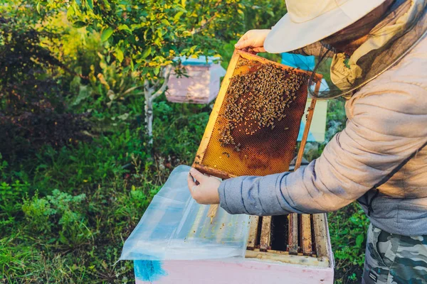 Der erfahrene Imker-Opa bringt seinem Enkel bei, sich um die Bienen zu kümmern. Imkerei. Das Konzept des Erfahrungstransfers. — Stockfoto