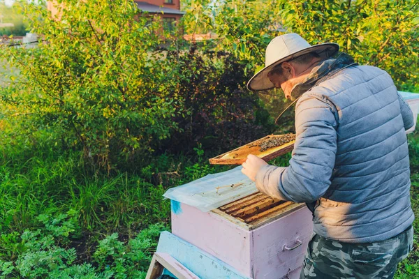 Der erfahrene Imker-Opa bringt seinem Enkel bei, sich um die Bienen zu kümmern. Imkerei. Das Konzept des Erfahrungstransfers. — Stockfoto