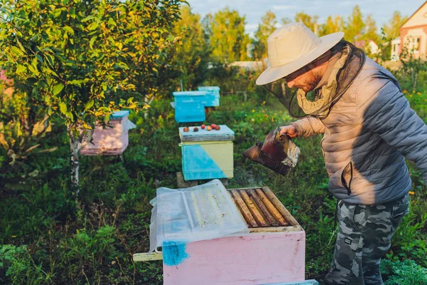 De ervaren grootvader van de imker leert zijn kleinzoon voor bijen te zorgen. Bijenteelt. Het begrip overdracht van ervaring. — Stockfoto