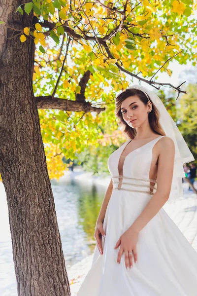 Sposa in posa in un parco verde ragazza in un abito bianco su uno sfondo di verde . — Foto Stock