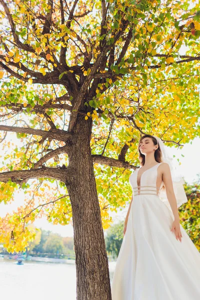 Sposa in posa in un parco verde ragazza in un abito bianco su uno sfondo di verde . — Foto Stock