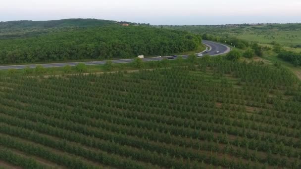 Letecký záběr brány města při západu slunce. Modrá obloha s mraky. Kišiněv, Moldavsko. — Stock video