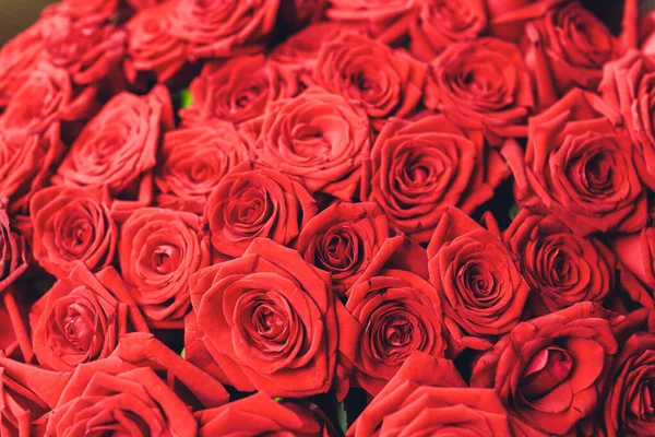 Fundo de rosas vermelhas naturais. Fronteira de buquê de rosas vermelhas . — Fotografia de Stock