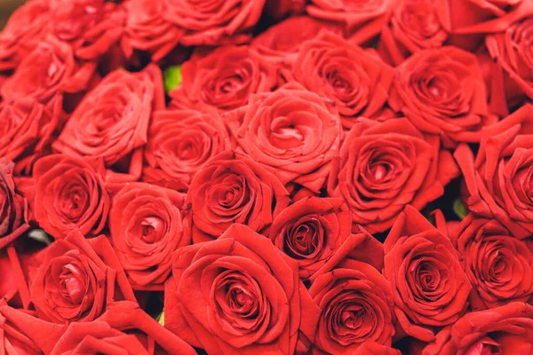 Natürliche rote Rosen Hintergrund. Borte aus roten Rosen Strauß. — Stockfoto