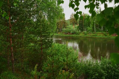 Williams Nehri 'nin kıyısında yaz sisi var..