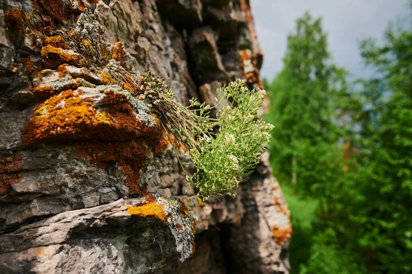 Bashkortostan Köztársaság, folyók, nyár Idrisovszkaja barlang. — Stock Fotó