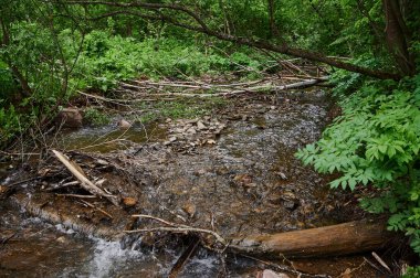 Küçük bir gölde güzel bir şelale..