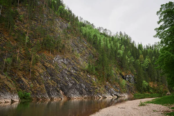 Brume estivale le long de la rivière Williams, un ruisseau de montagne précipité comme on le voit le long . — Photo