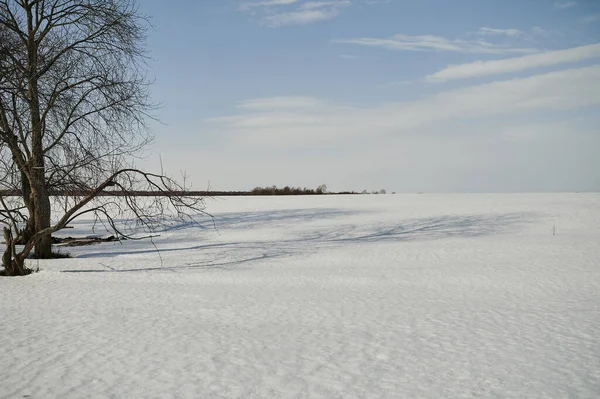 Mart ayında Avrupa 'da: tarlalarda kar erimeye başlar.