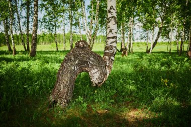 Bashkortostan Cumhuriyeti, nehirler, yaz İdrisovskaya mağarası.