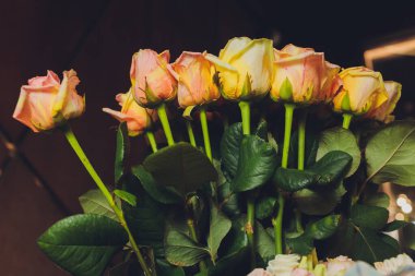 Değişik renkte çiçek buketleri..