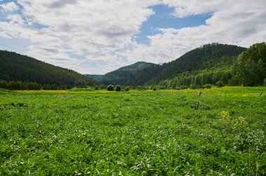Öndeki yeşil tarlaların doğal görüntüsü ve güneşli bir yaz gününde arka plandaki uçurum ve tepelerin dağları..