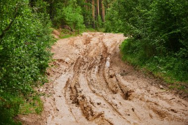 Baharda lastik izleri olan kirli, bulanık toprak bir yol. Off-road.