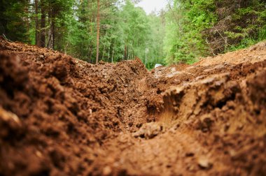 Baharda lastik izleri olan kirli, bulanık toprak bir yol. Off-road.