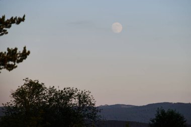 Öndeki yeşil tarlaların doğal görüntüsü ve güneşli bir yaz gününde arka plandaki uçurum ve tepelerin dağları..