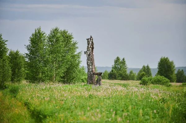 Природний вид на зелені поля на передньому плані і гори скель і пагорбів на задньому плані в сонячний літній день . — стокове фото