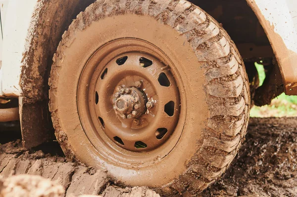 Wheel closeup in a countryside landscape with a muddy road. — Stock Photo, Image