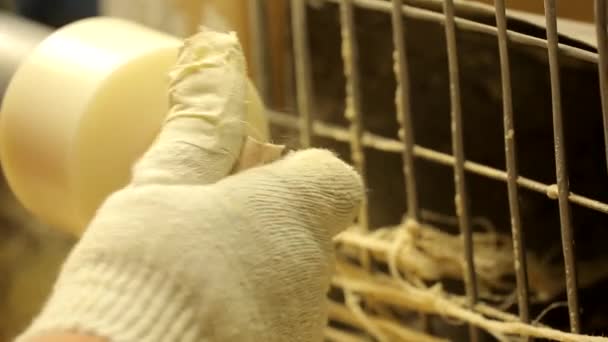 Carpenter doing his job in carpentry workshop. — Stock Video