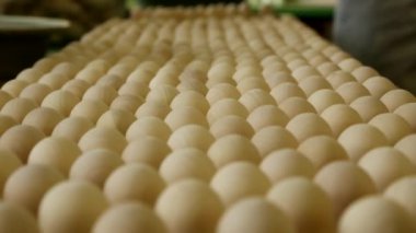 Marangoz marangozluk atölyesinde işini yapıyor..