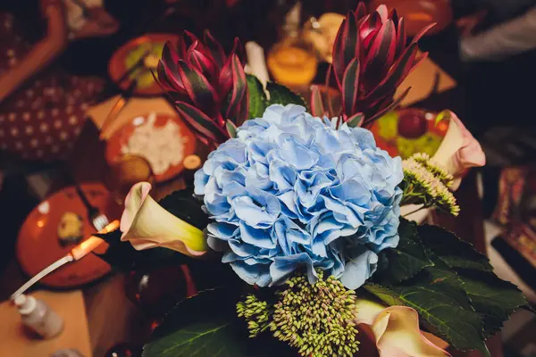 Muchas flores de hortensias azules que crecen en el jardín, fondo floral. — Foto de Stock