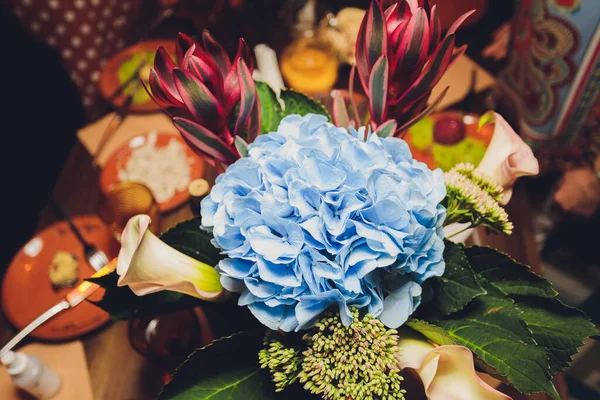 Muchas flores de hortensias azules que crecen en el jardín, fondo floral. —  Fotos de Stock