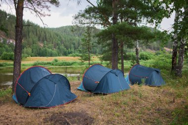 Orman kampındaki çadır çayırların arasında..