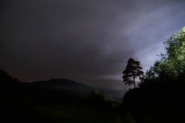 Silueta stromů proti noční obloze s hvězdami. — Stock fotografie