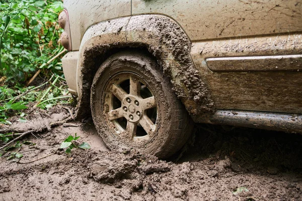 Çamurlu bir yolu olan kırsal bir arazide tekerlek yakın..
